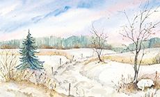 Jänner: Mühlviertler Winter