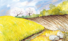 April: Rapsfeld