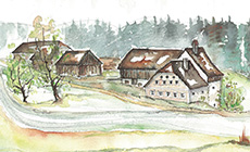 Juni: P&ouml;lzm&uuml;hle, Windhaag