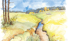 Oktober: Kampursprung, Liebenau