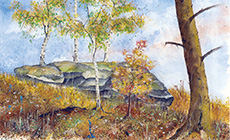 November: Zeissberg, Neumarkt