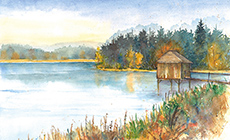 November: Am Teich